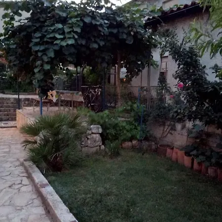 Vivian 아파트 풀라